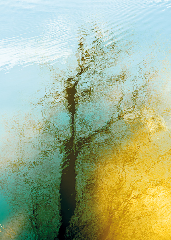 tali photography