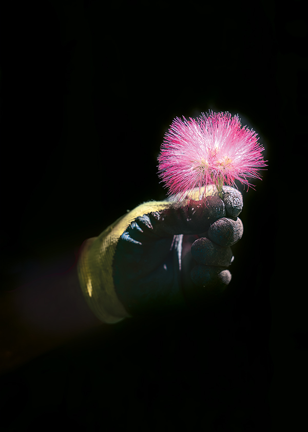 tali photography