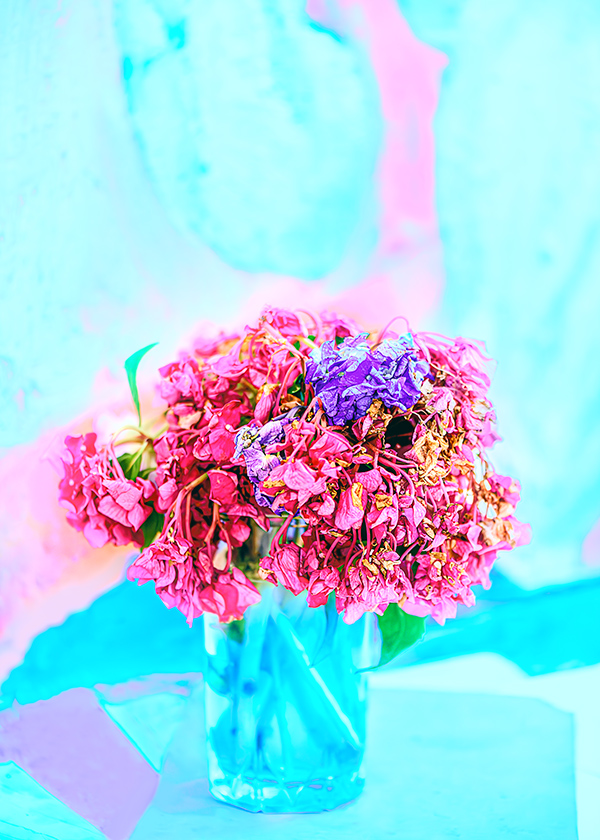 tali photography